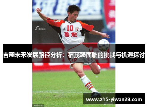 吉翔未来发展路径分析:宿茂臻面临的挑战与机遇探讨 吉翔未来发展路径分析:宿茂臻面临的挑战与机遇探讨