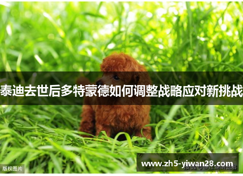 泰迪去世后多特蒙德如何调整战略应对新挑战 泰迪去世后多特蒙德如何调整战略应对新挑战