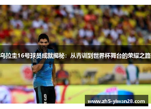 乌拉圭16号球员成就揭秘:从青训到世界杯舞台的荣耀之路 乌拉圭16号球员成就揭秘:从青训到世界杯舞台的荣耀之路