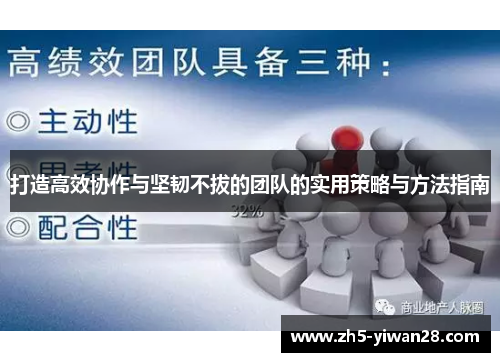 打造高效协作与坚韧不拔的团队的实用策略与方法指南 打造高效协作与坚韧不拔的团队的实用策略与方法指南