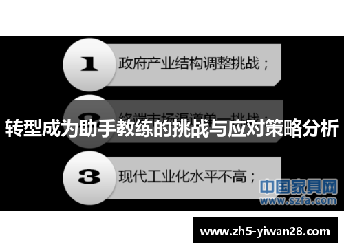 转型成为助手教练的挑战与应对策略分析 转型成为助手教练的挑战与应对策略分析